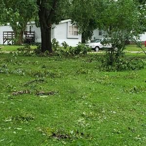 Meet your Posher, Rhonda